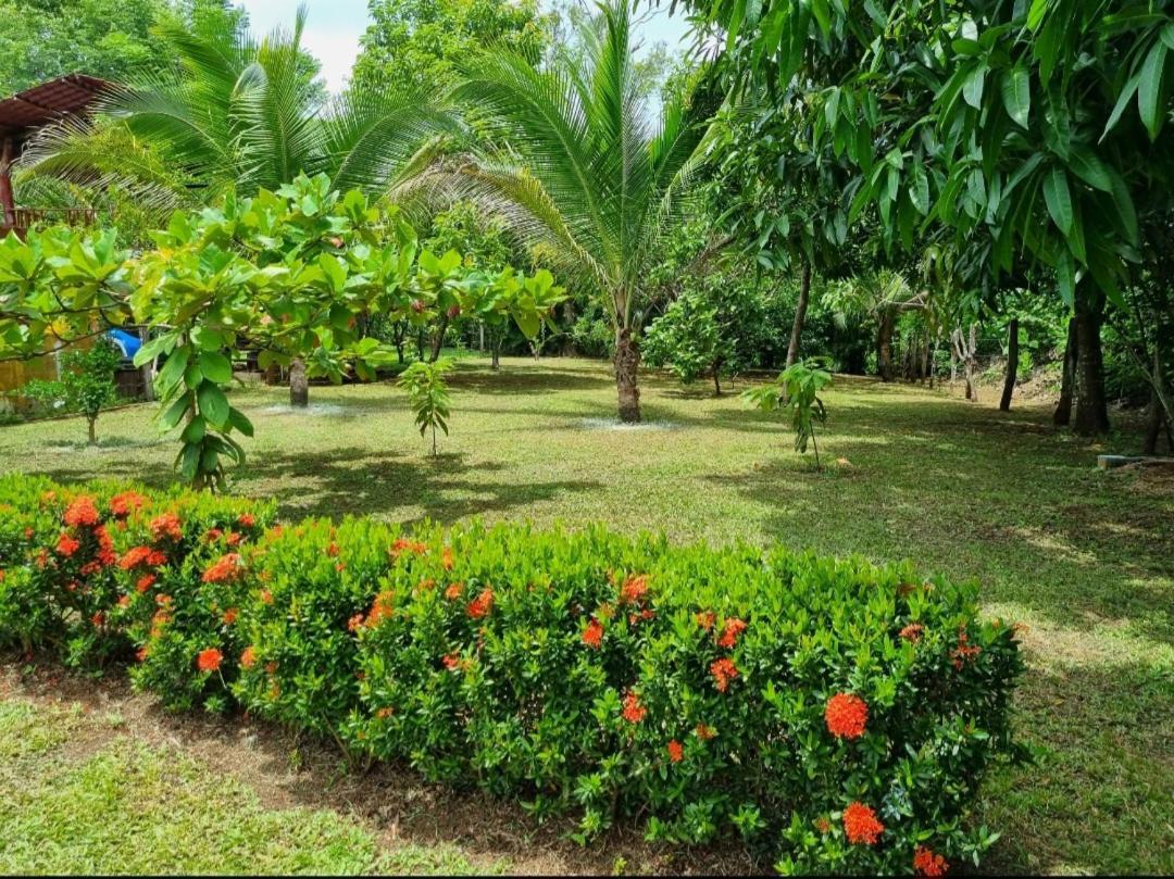 Casa De Playa Paraiso Terrenal San Juanillo Exterior foto